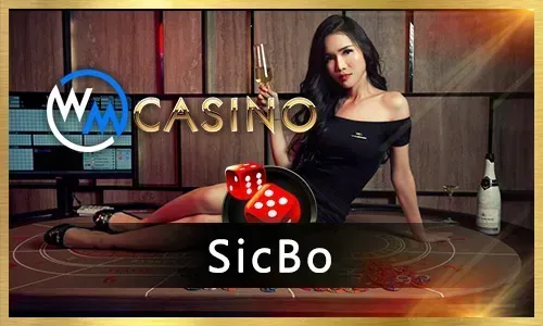 Online Casino Guide
